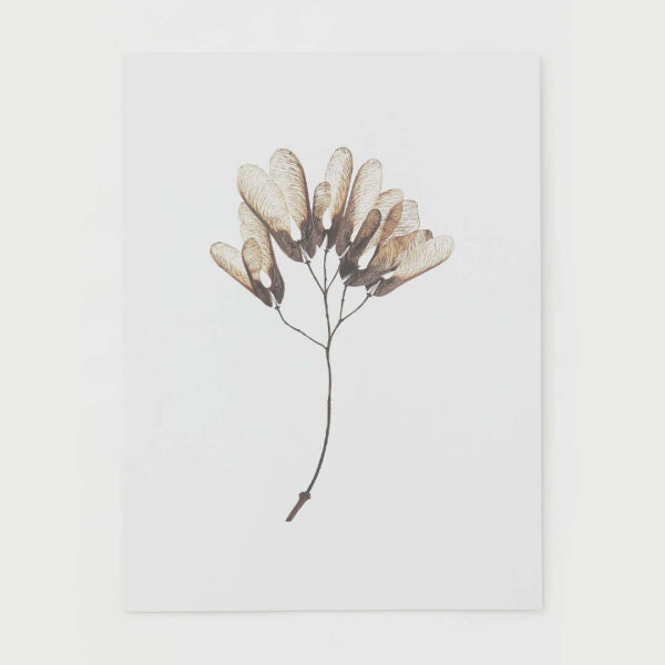 Flower Poster